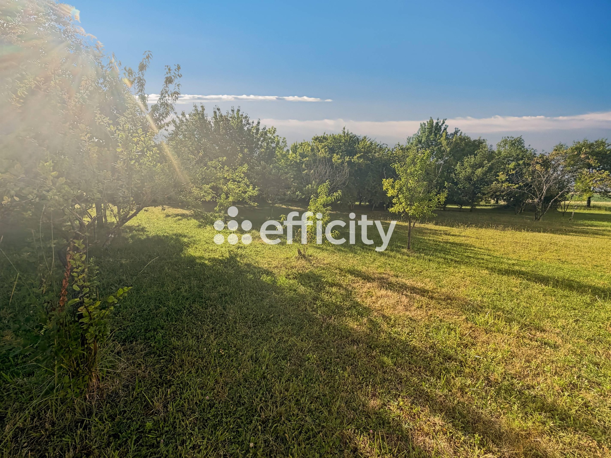 Photo illustration