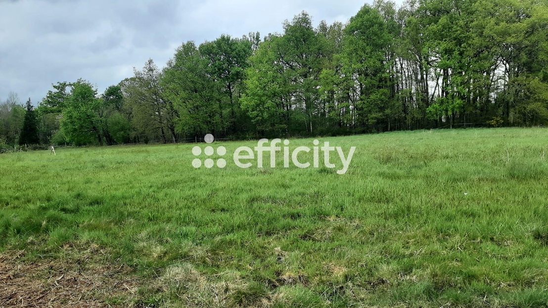 terrain  - 2298m2 à Saint-Auvent (87310)