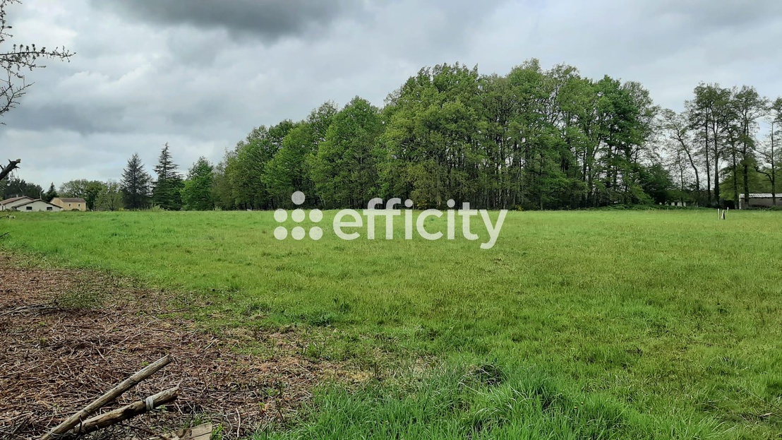 terrain  - 2280m2 à Saint-Auvent (87310)