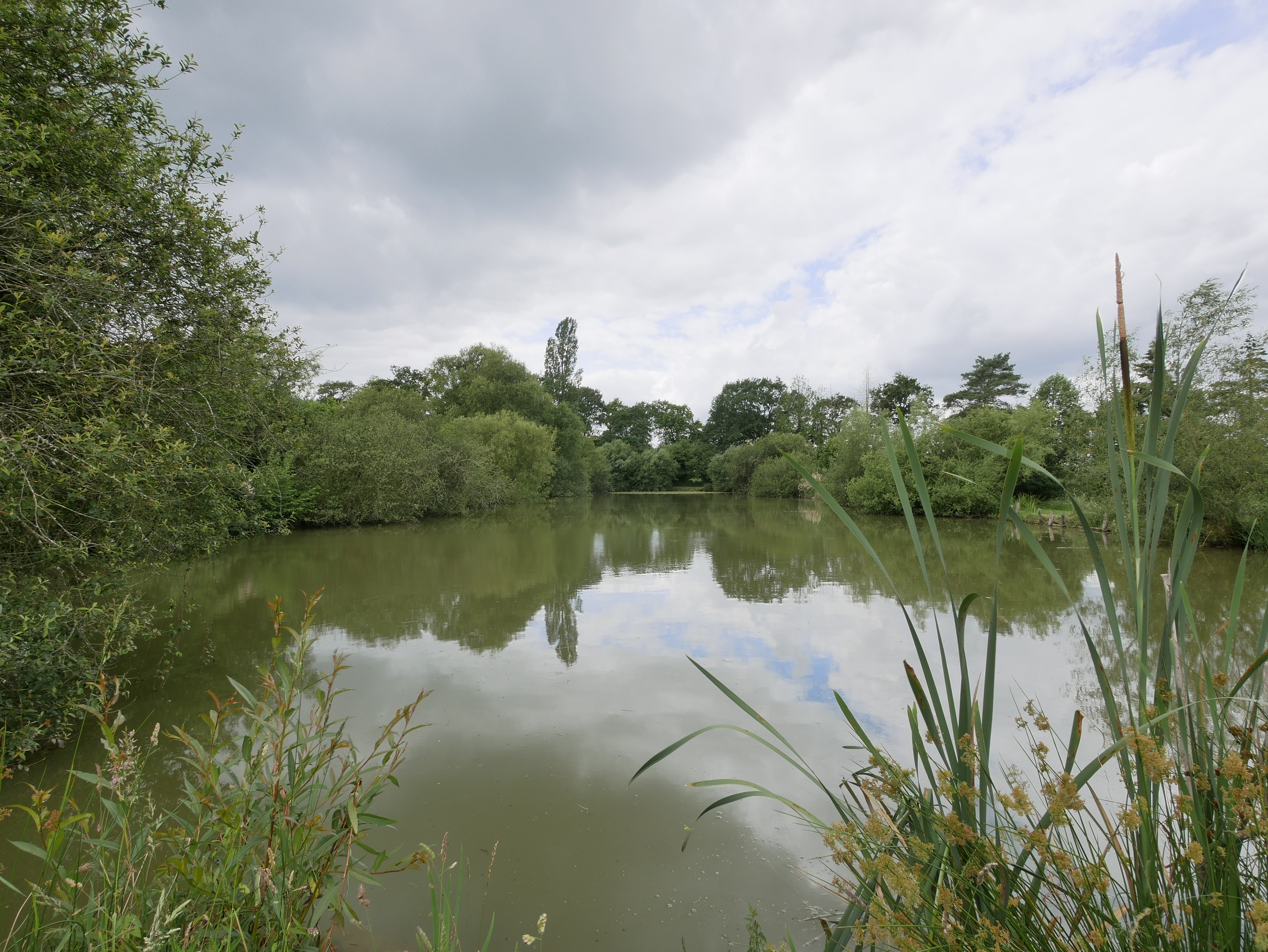 terrain  - 5062,0m2 à Saint-Aubin-d'Aubigné (35250)