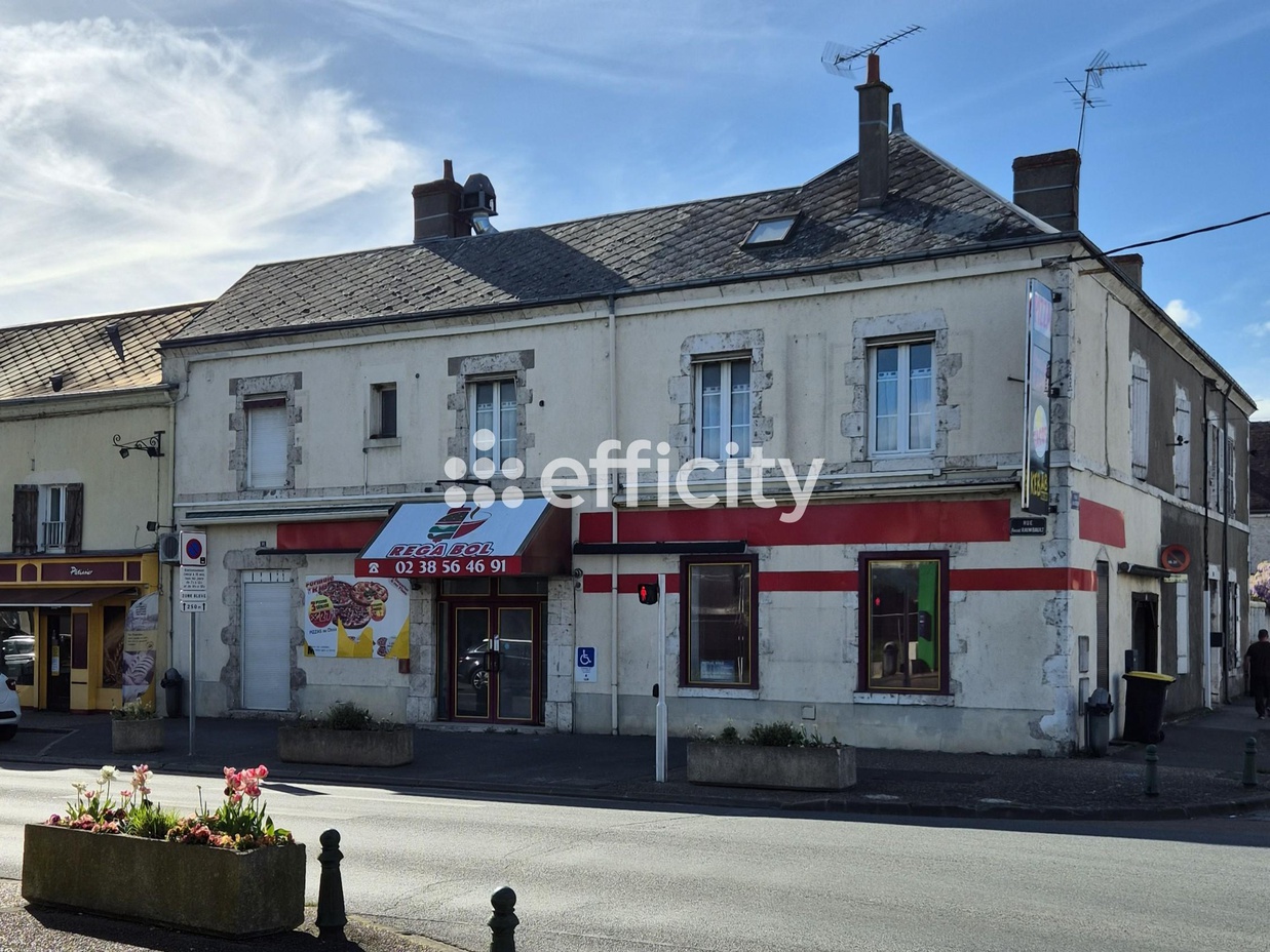 maison 8 pièces - 203,0m2 à Baule (45130)