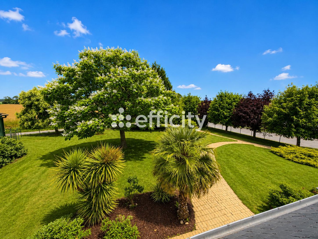 Photo illustration