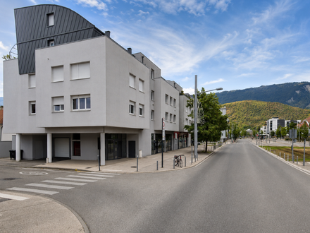 bureau 10 pièces - 178,25m2 à Seyssinet-Pariset (38170)