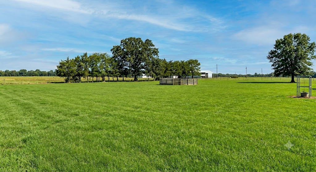 Maison 7 pièces 200 m² · à Tocqueville-les-Murs · 200 m² · 445 900 €