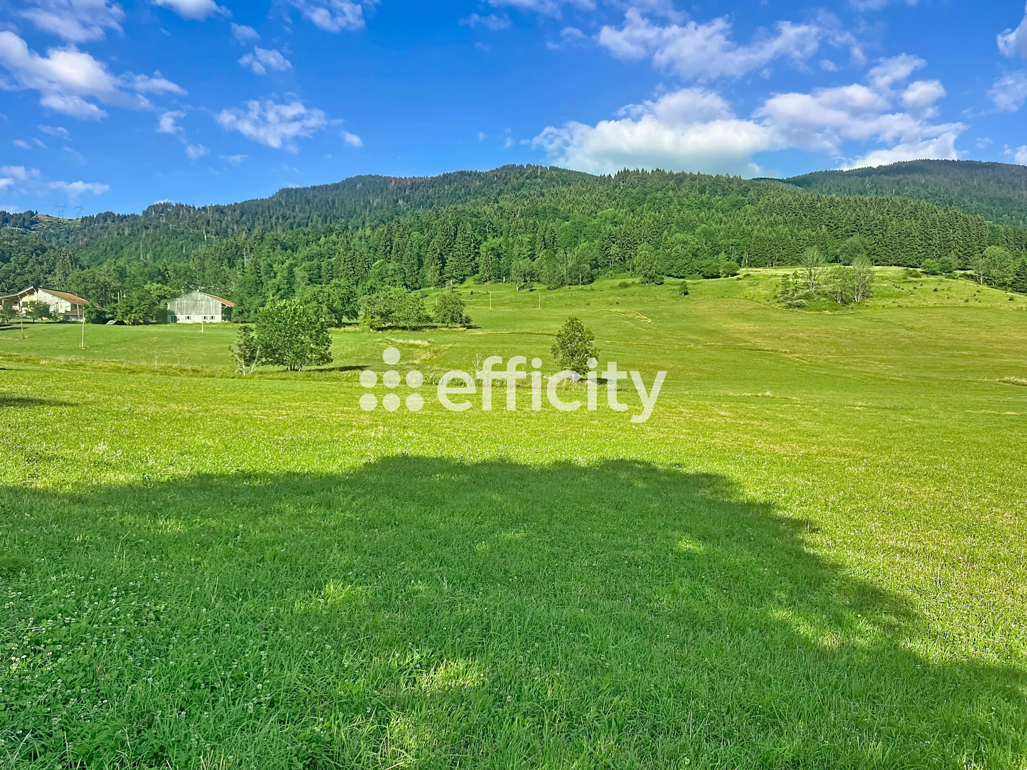 Terrain - 13020 m² · à Mégevette · 44 000 €