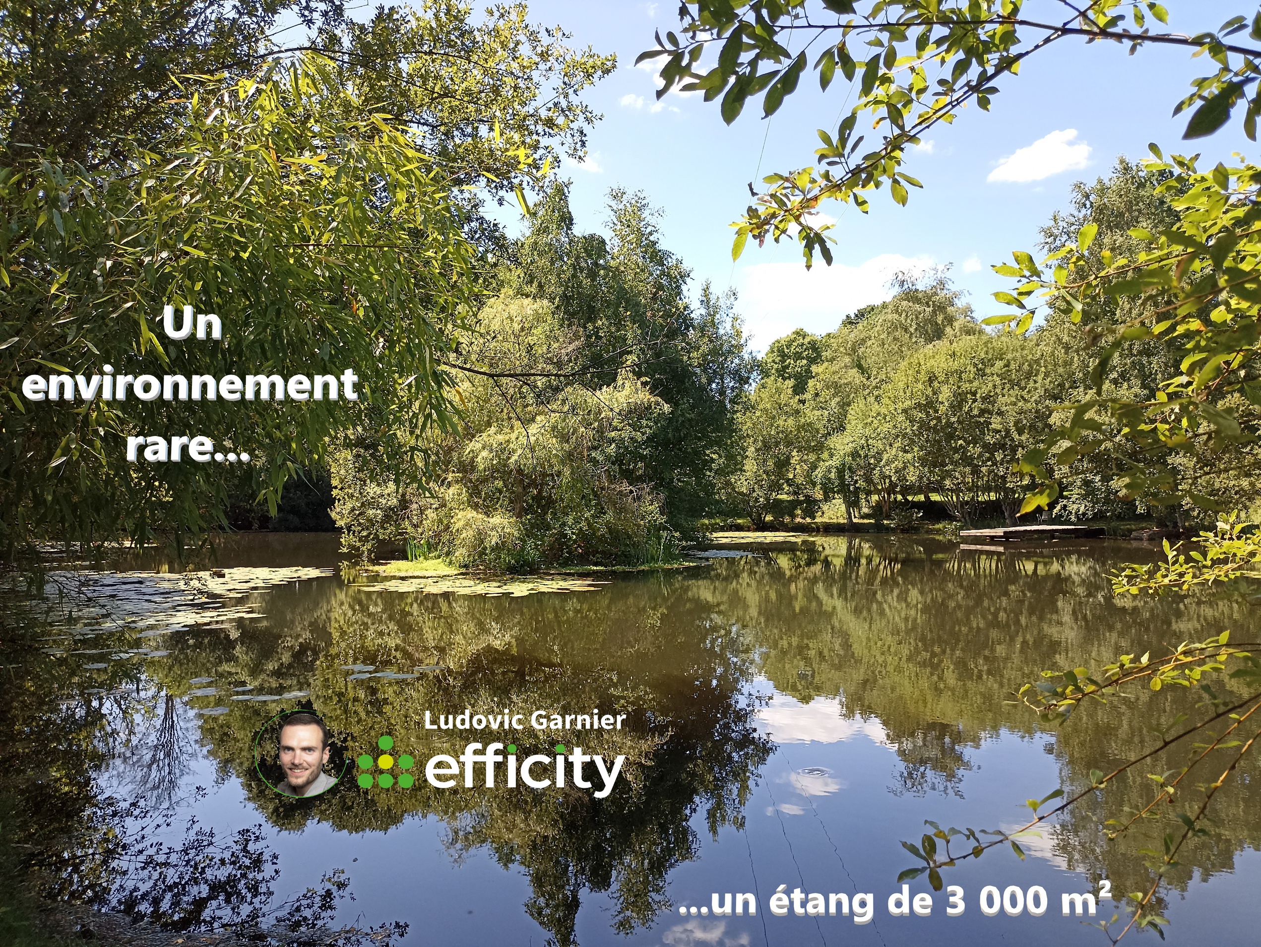 maison 6 pièces - 167m2 à Mortain-Bocage (50140)