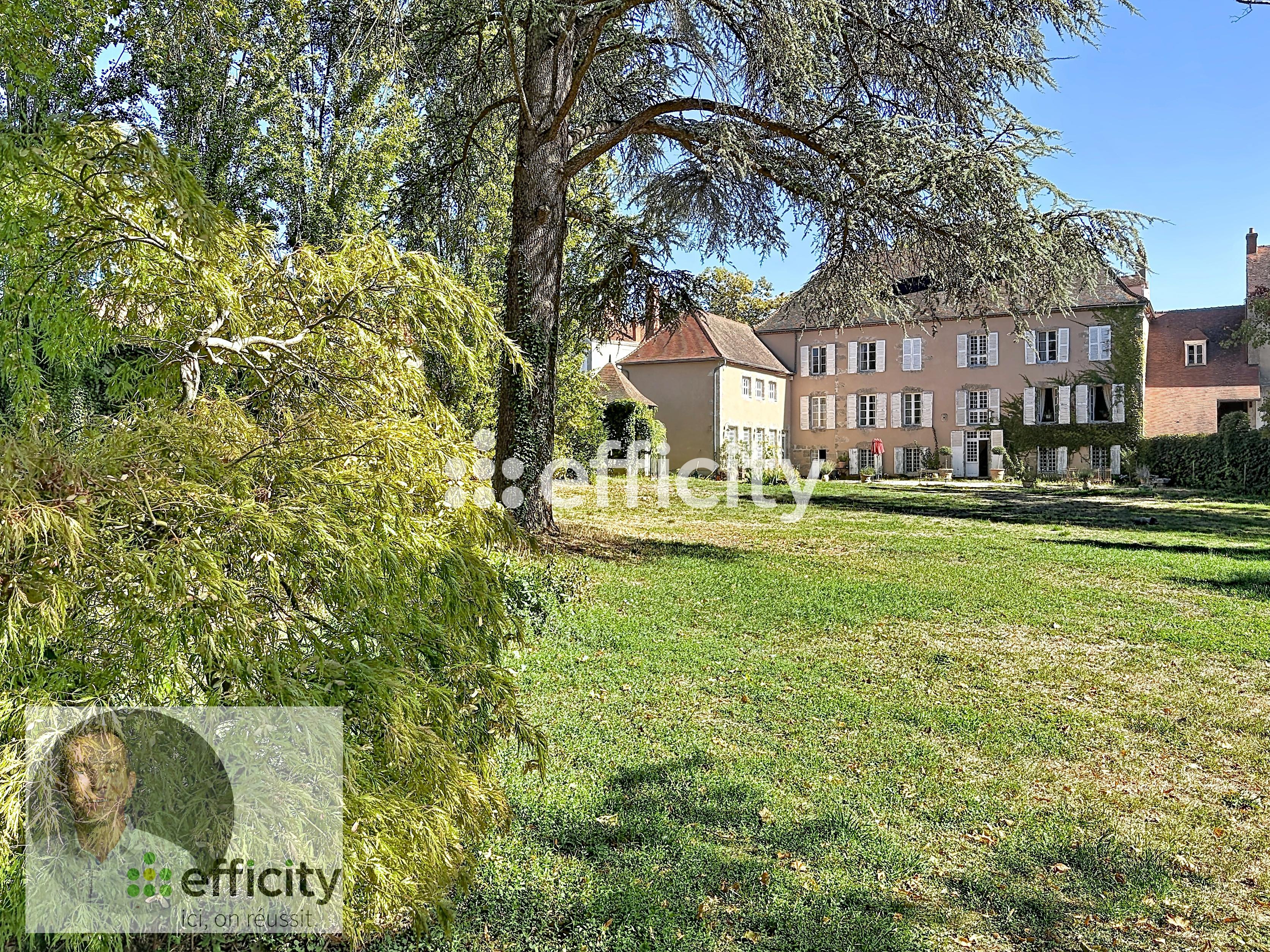 Maison 20 pièces 550 m² · à Saint-Gérand-le-Puy · 550 m² · 525 000 €