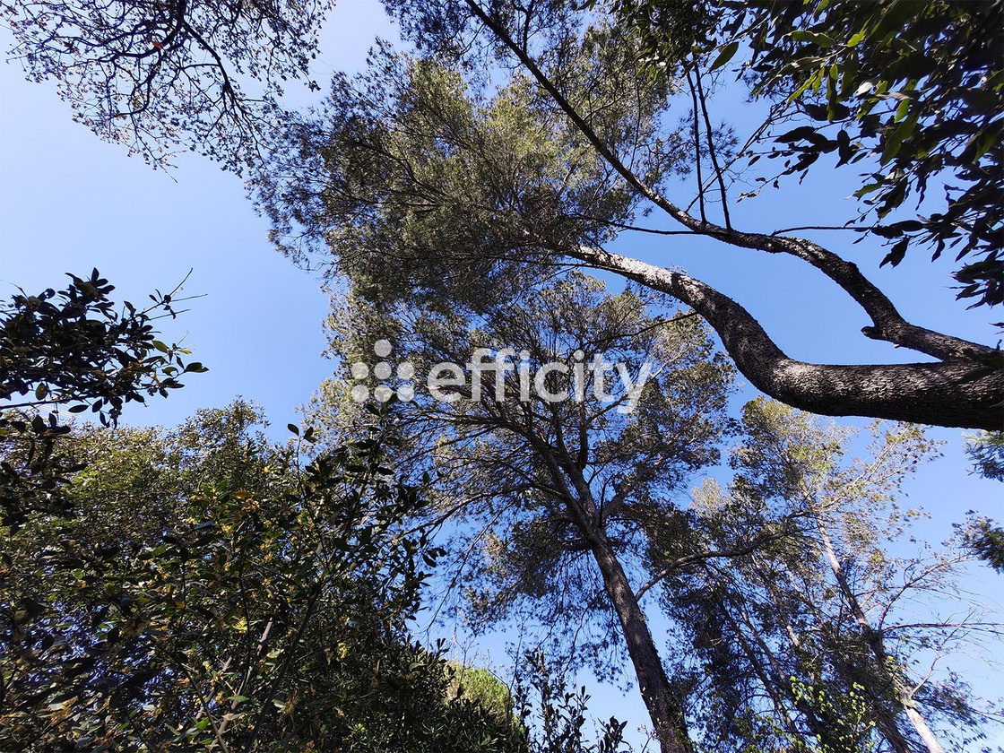 First photo