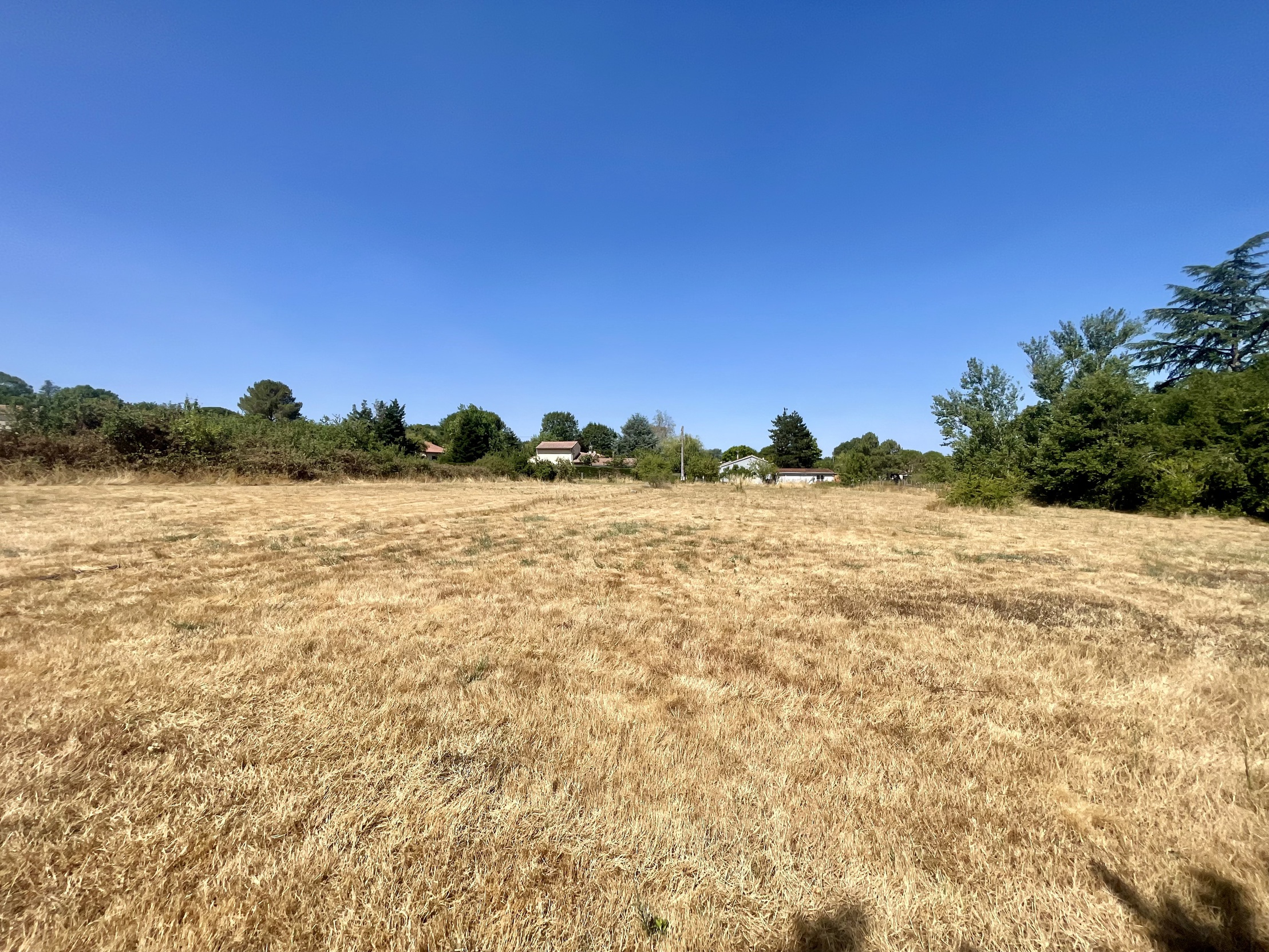 terrain  - 3200m2 à Graulhet (81300)