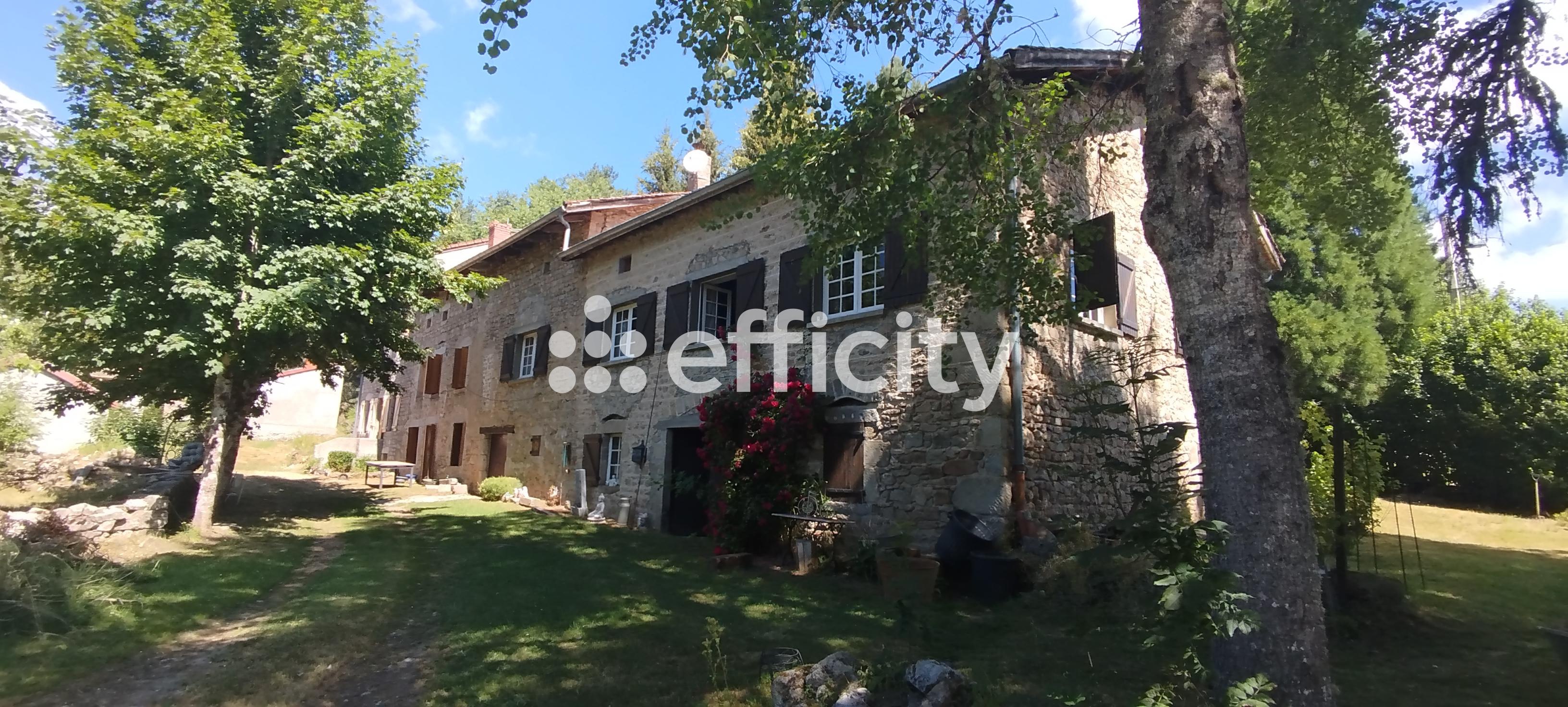 Maison 10 pièces 442 m² · à Fournols · 442 m² · 285 000 €