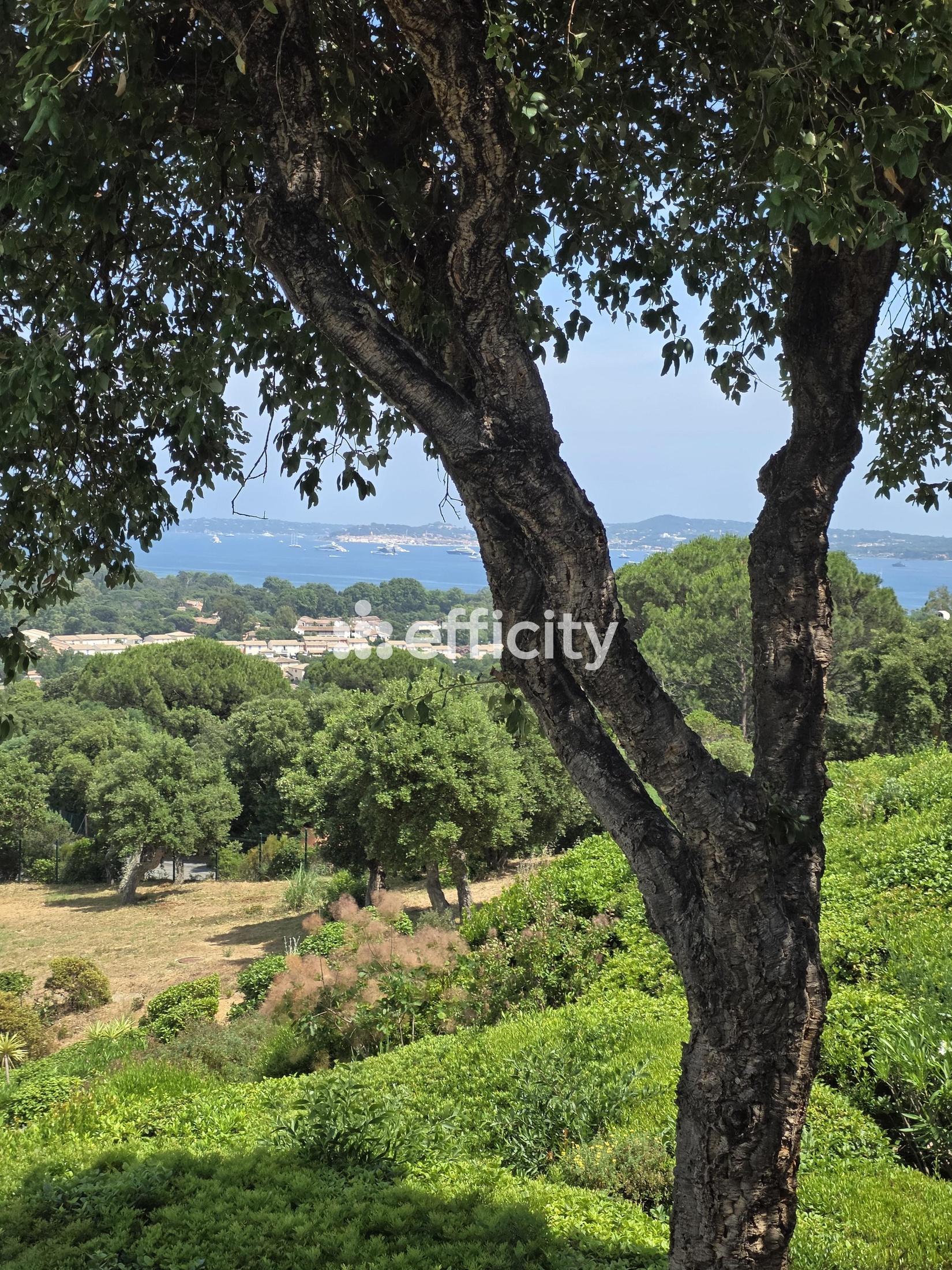 appartement 3 pièces - 66m2 à Grimaud (83310)