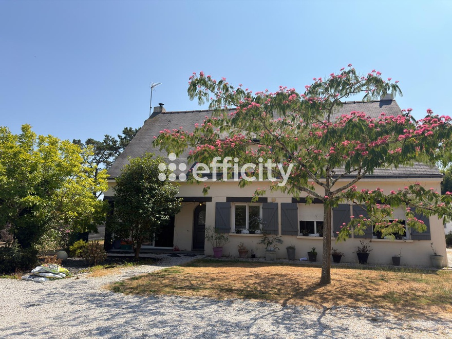 maison 9 pièces - 208m2 à Saint-Molf (44350)