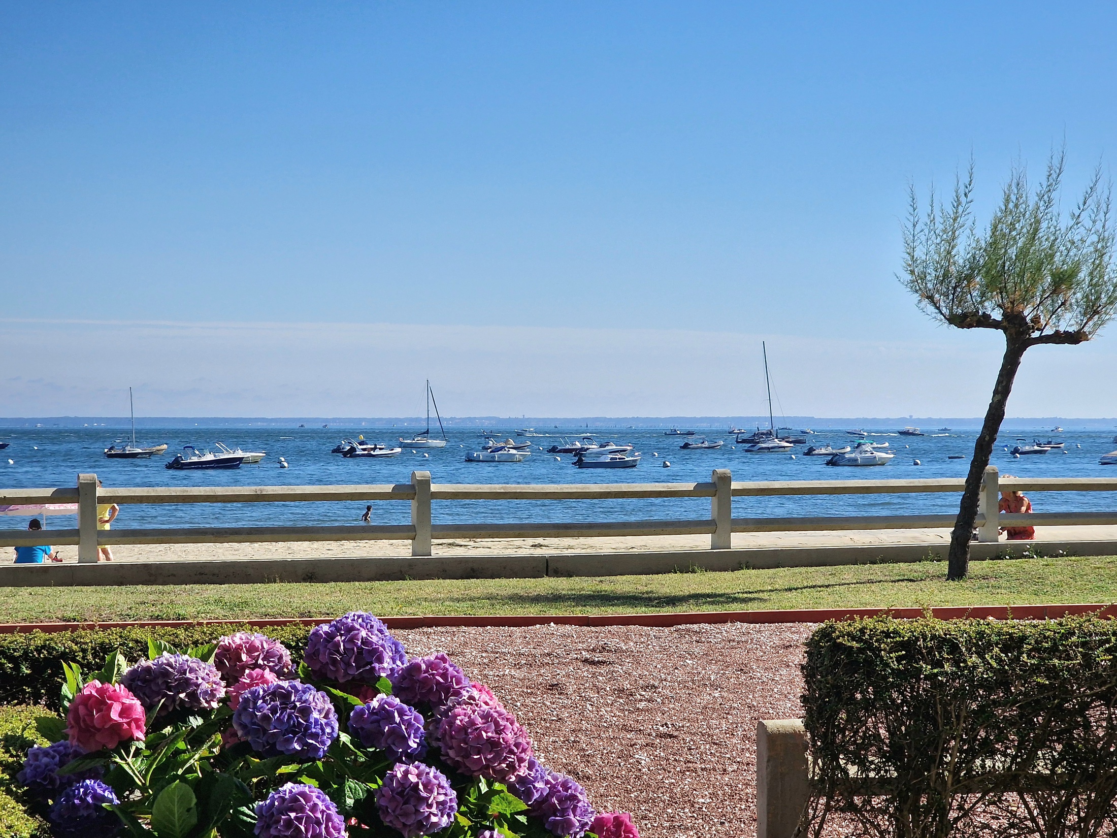 appartement 2 pièces - 32m2 à Arcachon (33120)