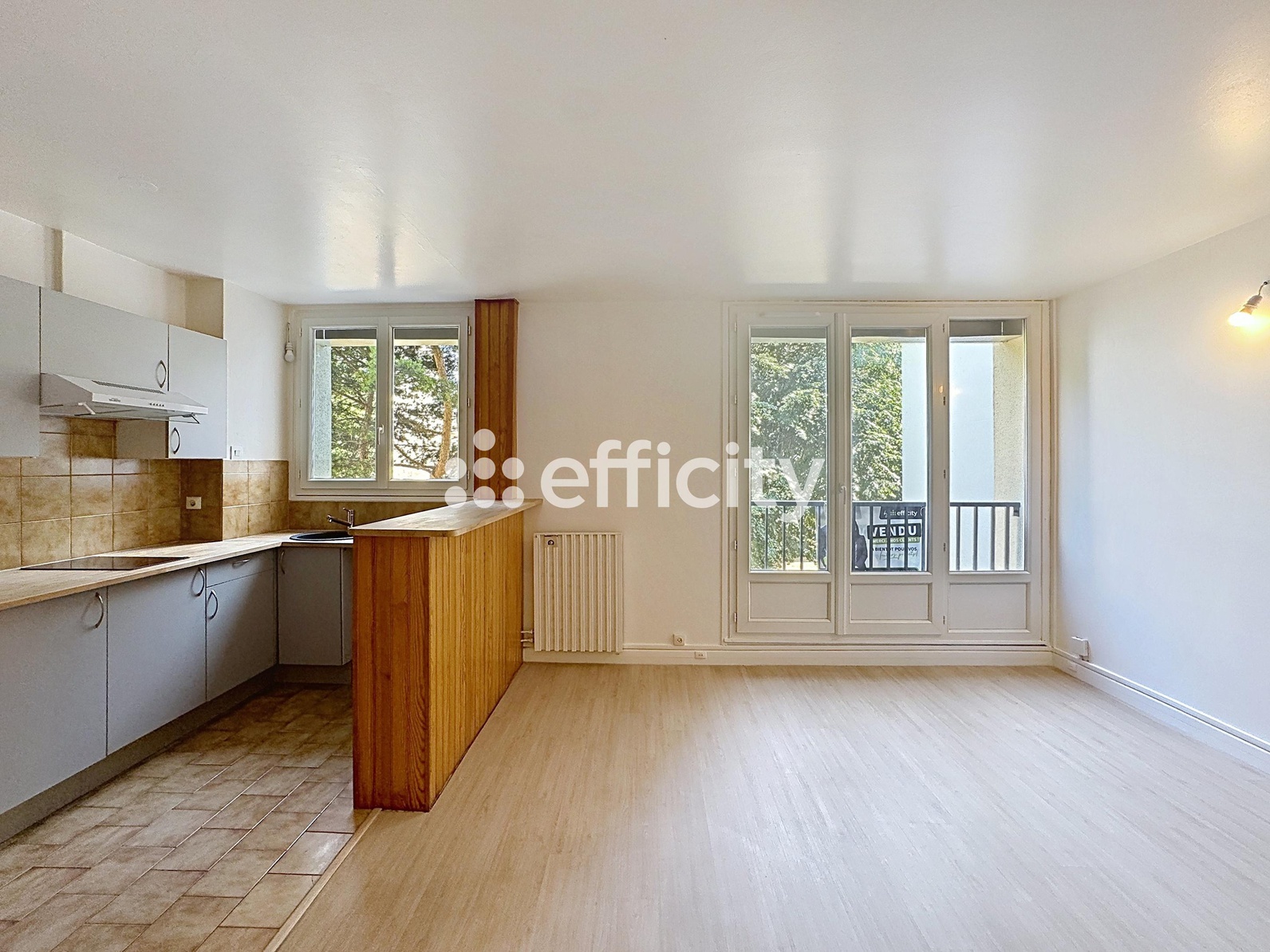 appartement 1 pièces - 31m2 à Chilly-Mazarin (91380)