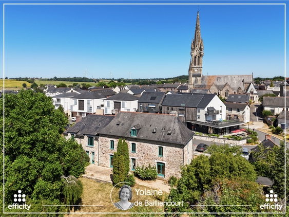 maison 10 pièces - 277m2 à Balazé (35500)