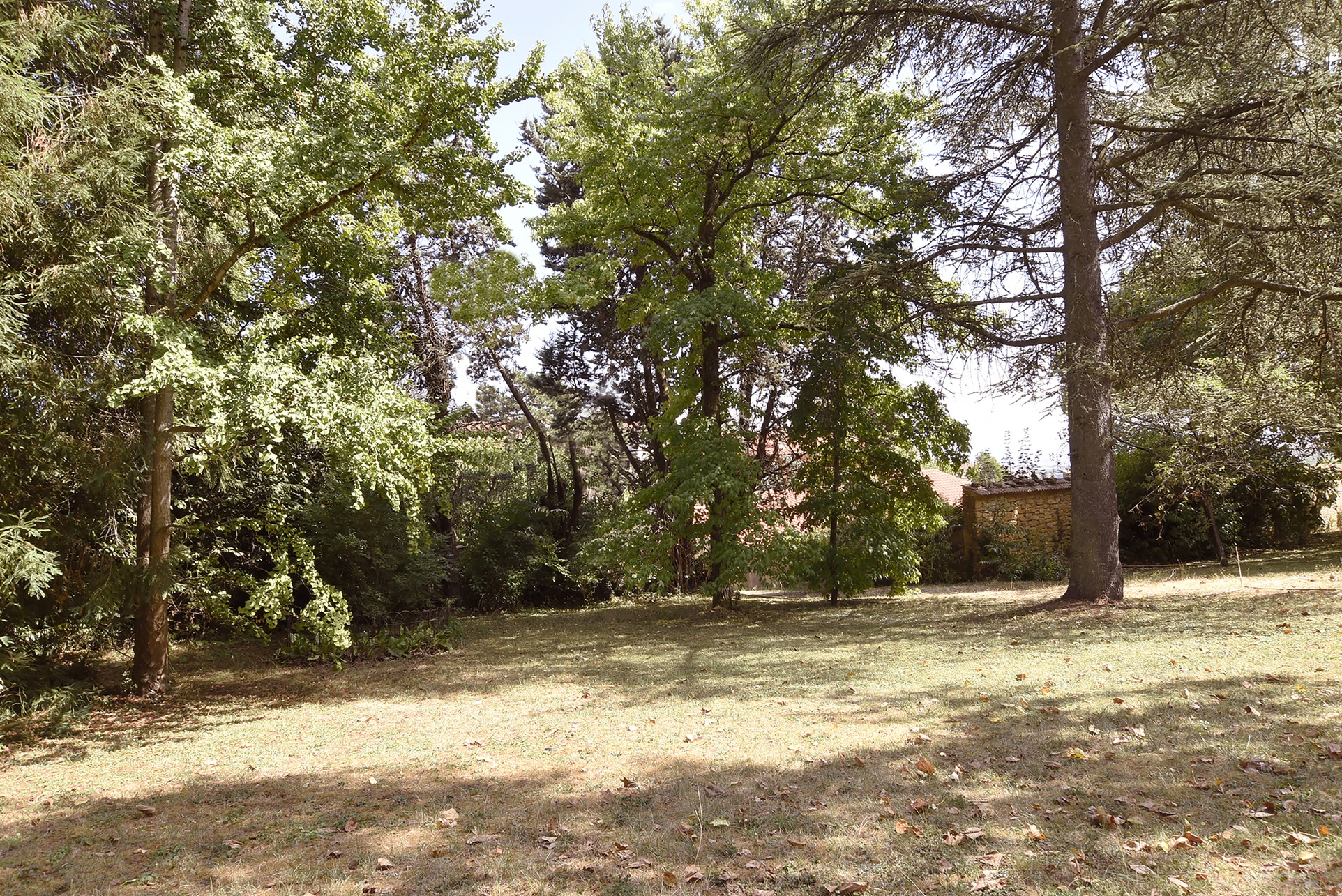 terrain  - 1000m2 à Saint-Cyr-au-Mont-d'Or (69450)