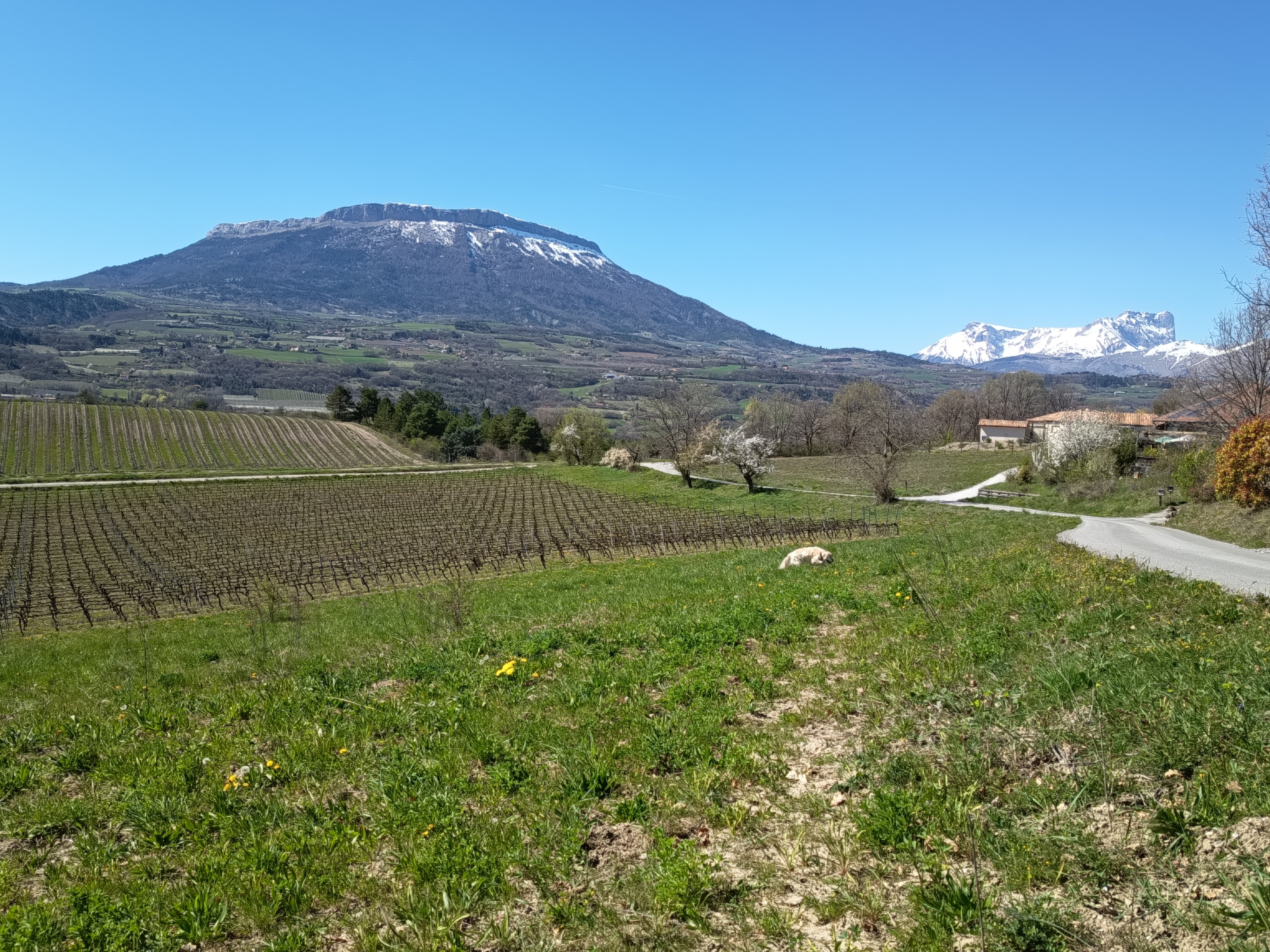 Terrain - 1471 m² · à Châteauvieux · 110 000 €