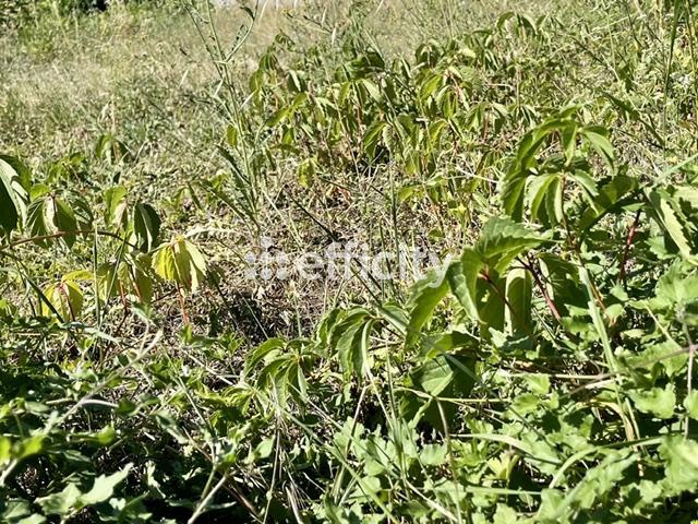 Terrain 481 m² · à Salaise-sur-Sanne · 481 m² · 91 389 €