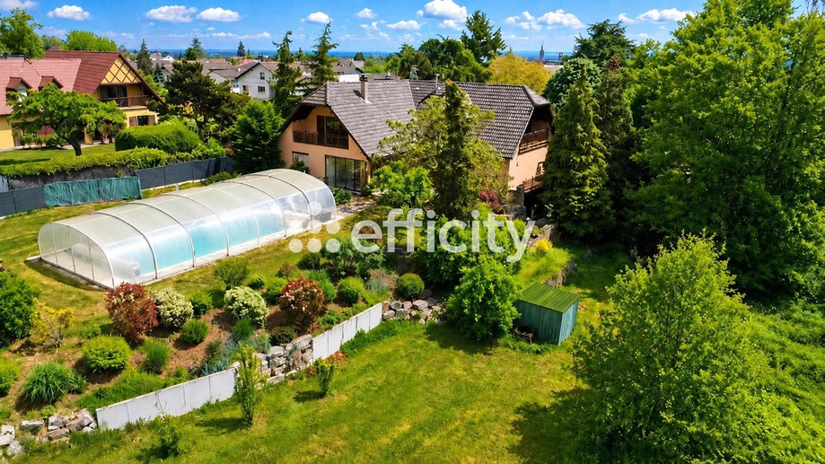 maison 11 pièces - 308m2 à Steinbach (68700)