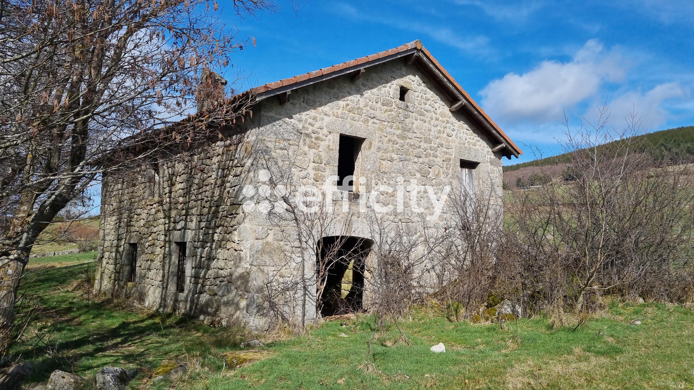 maison 1 pièces - 60m2 à Paulhac-en-Margeride (48140)