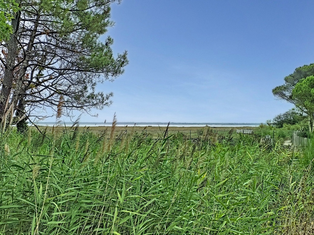 terrain  - 774m2 à Gujan-Mestras (33470)