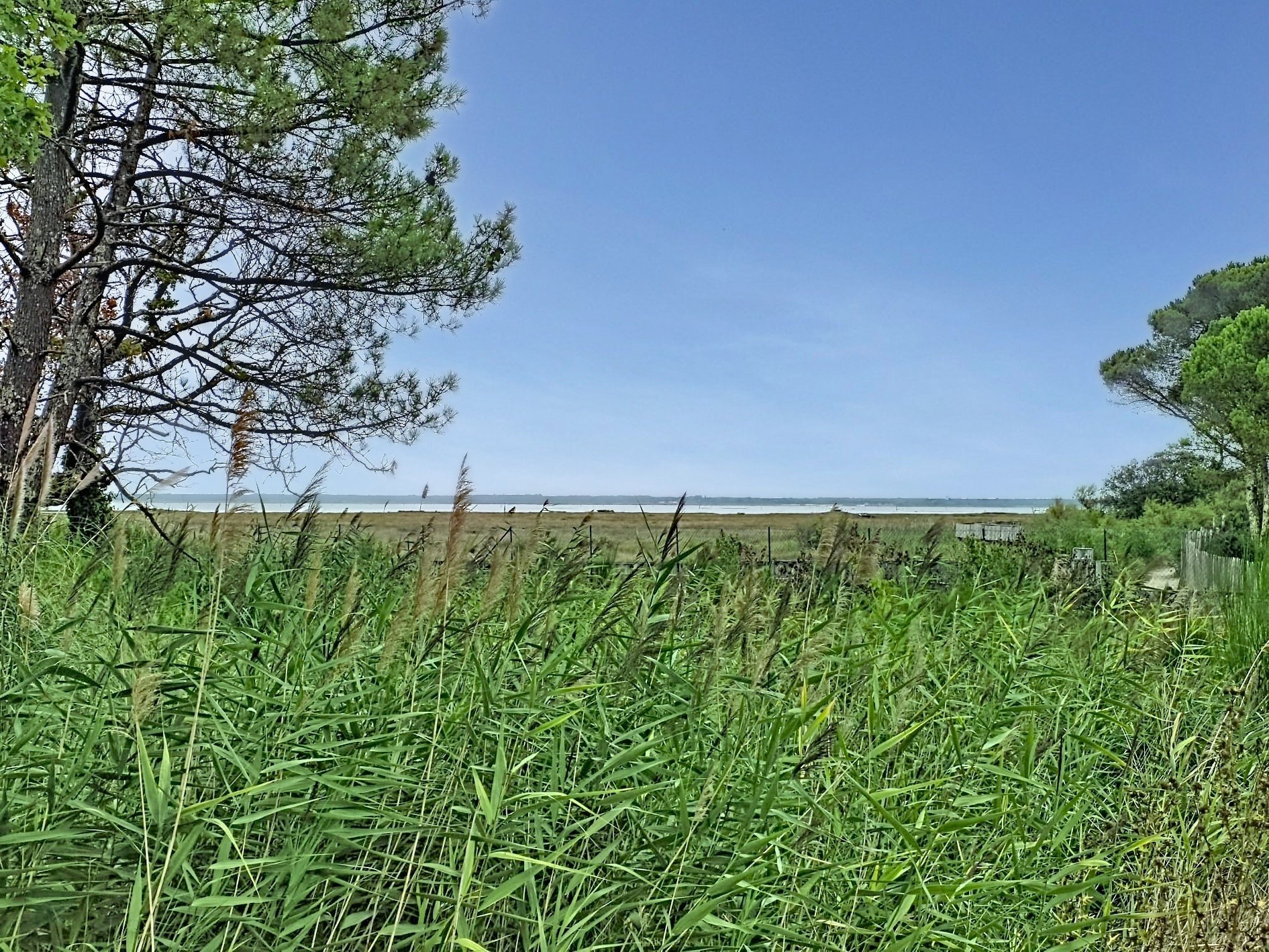 Terrain - 774 m² · à Gujan-Mestras · 256 000 €
