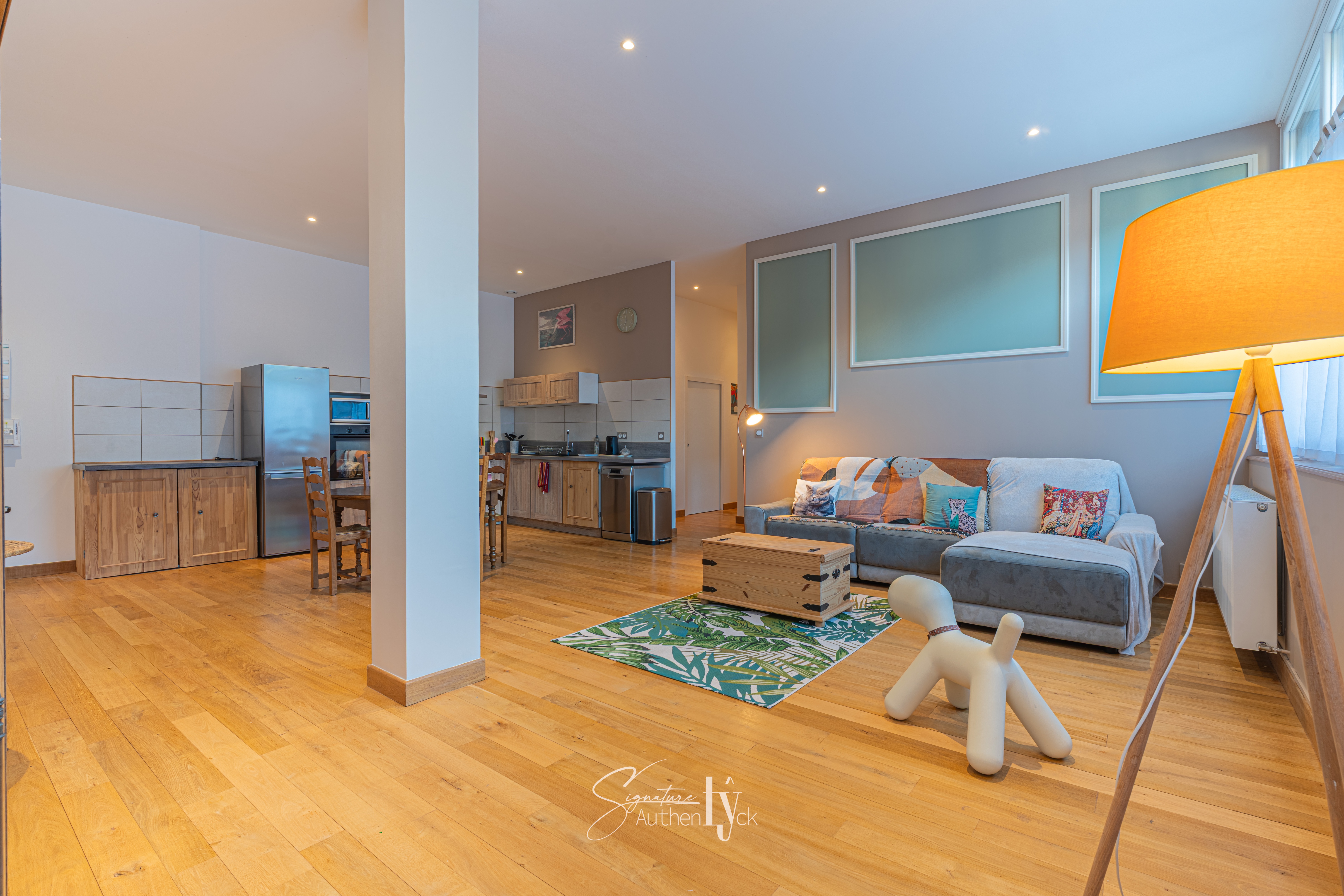 Appartement - Limoges