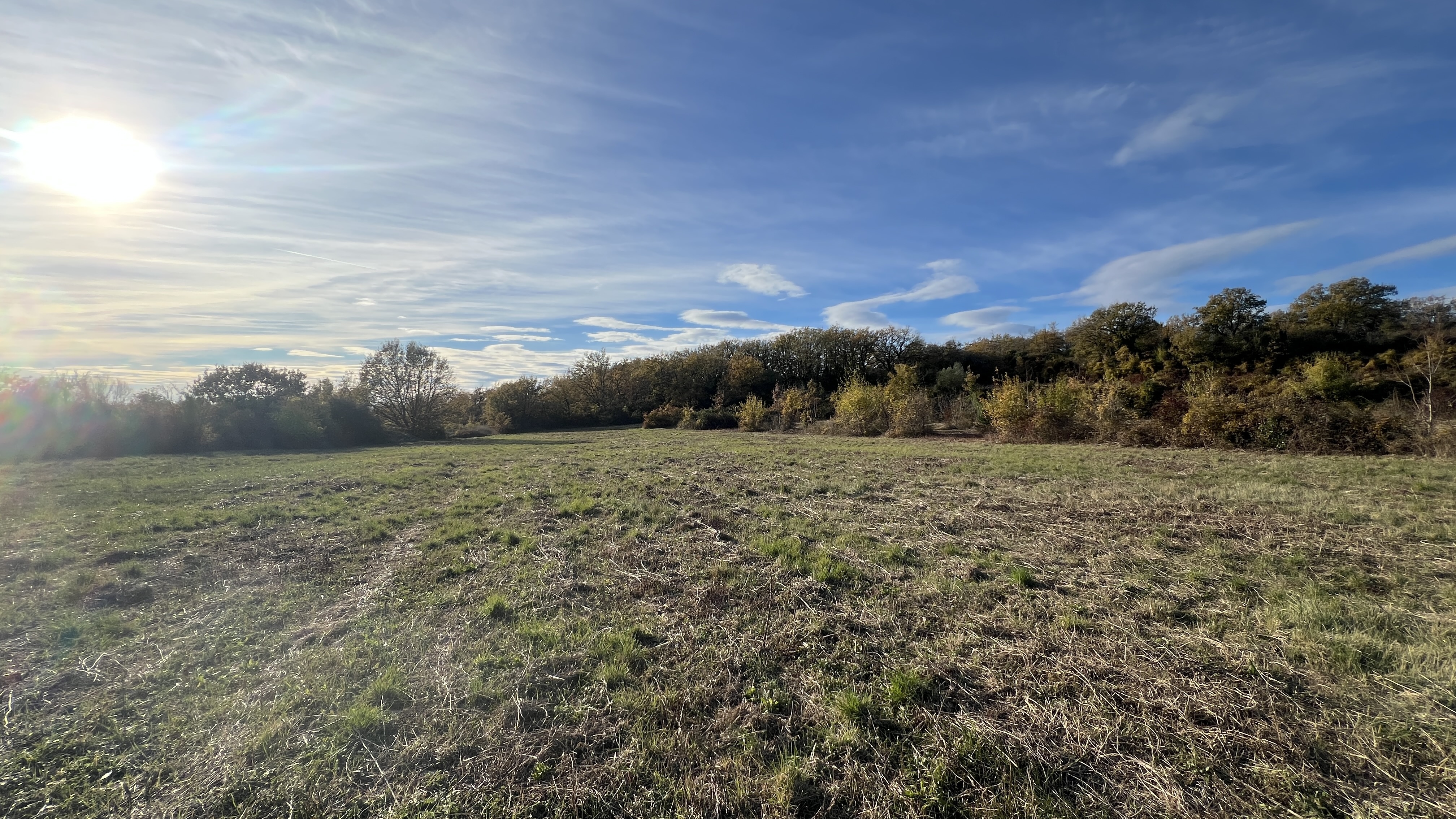 Terrain - 14257 m² · à Martignargues · 370 000 €