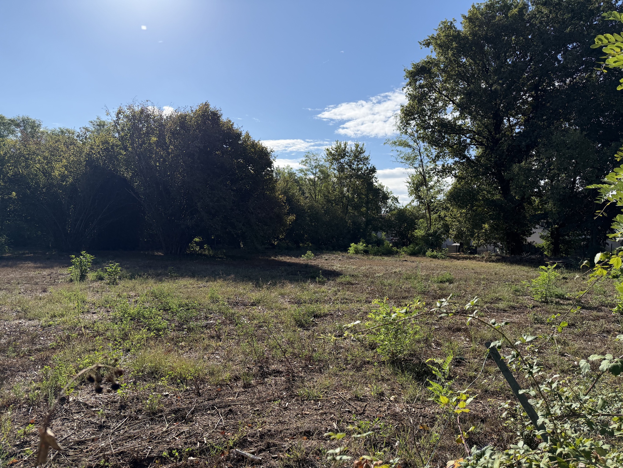 terrain  - 500m2 à Belin-Béliet (33830)