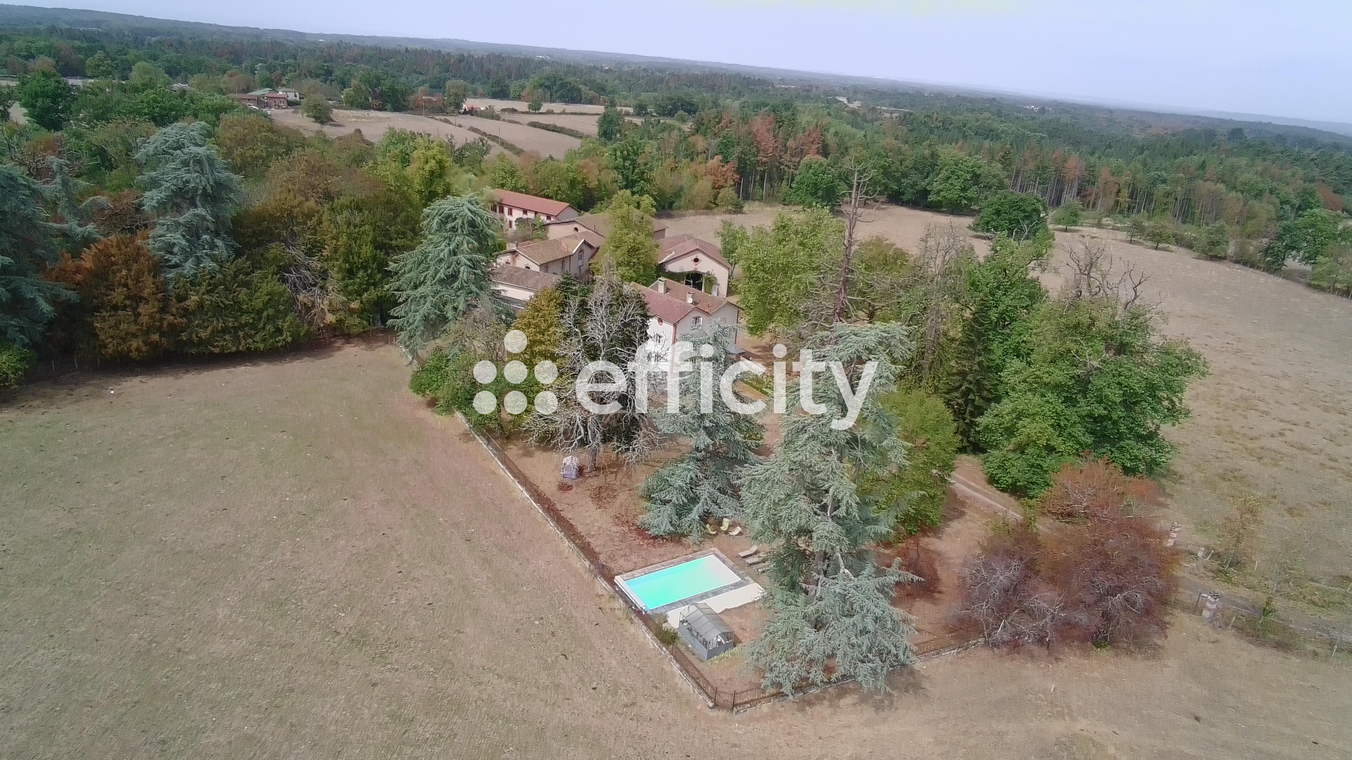Maison 11 pièces 370 m² · à Peschadoires · 370 m² · 590 000 €