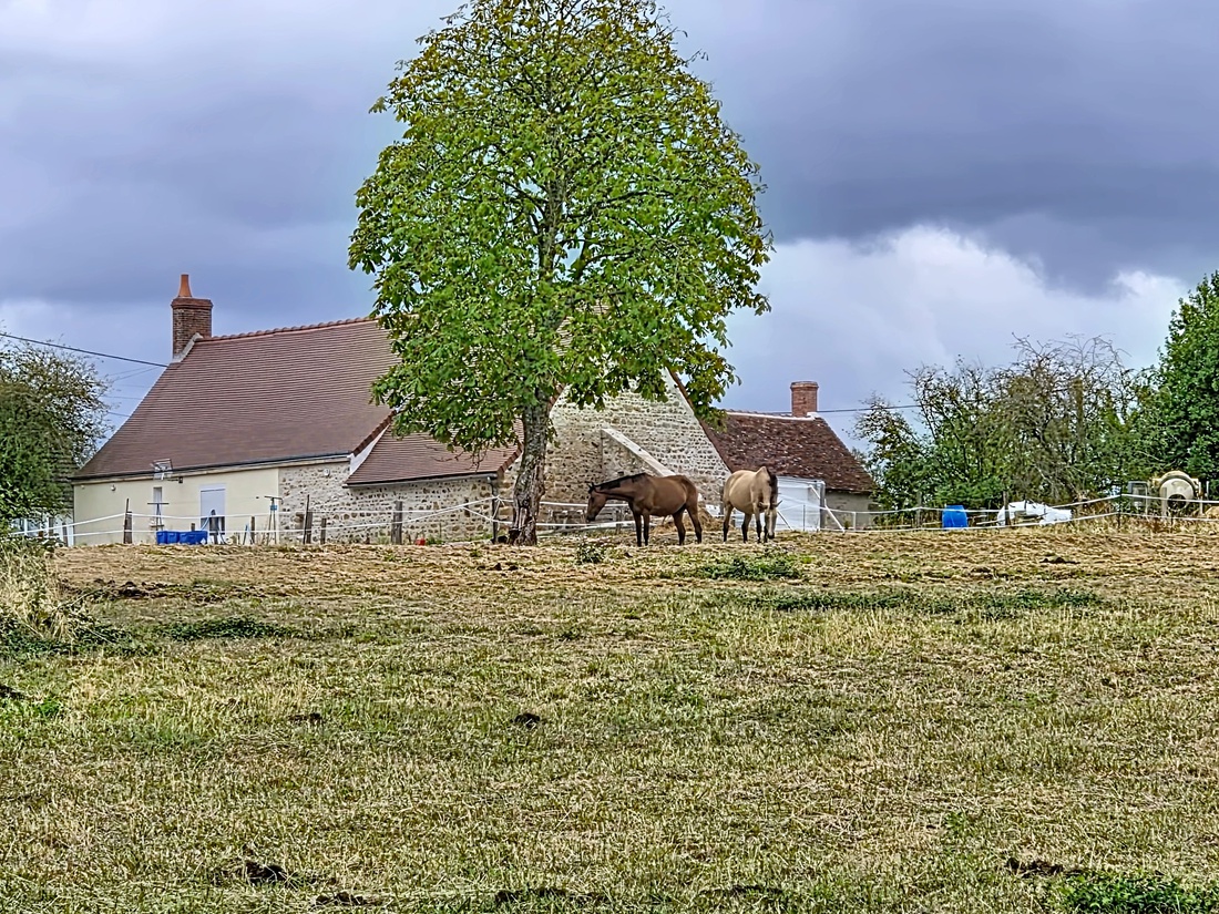 maison 4 pièces - 80m2 à Le Magny (36400)