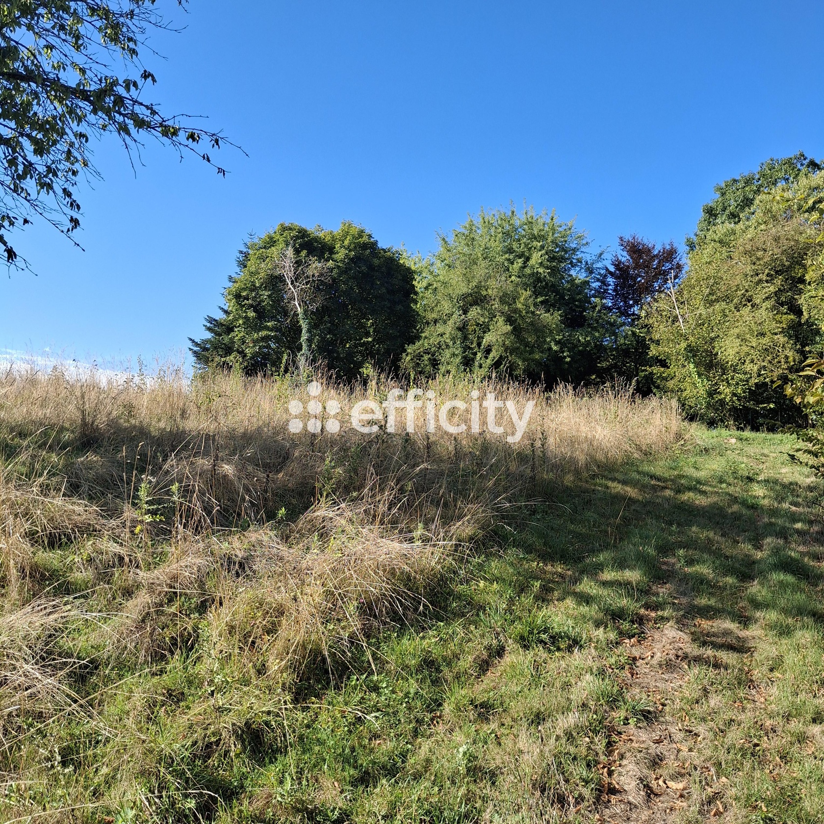 terrain  - 796m2 à Trésilley (70190)