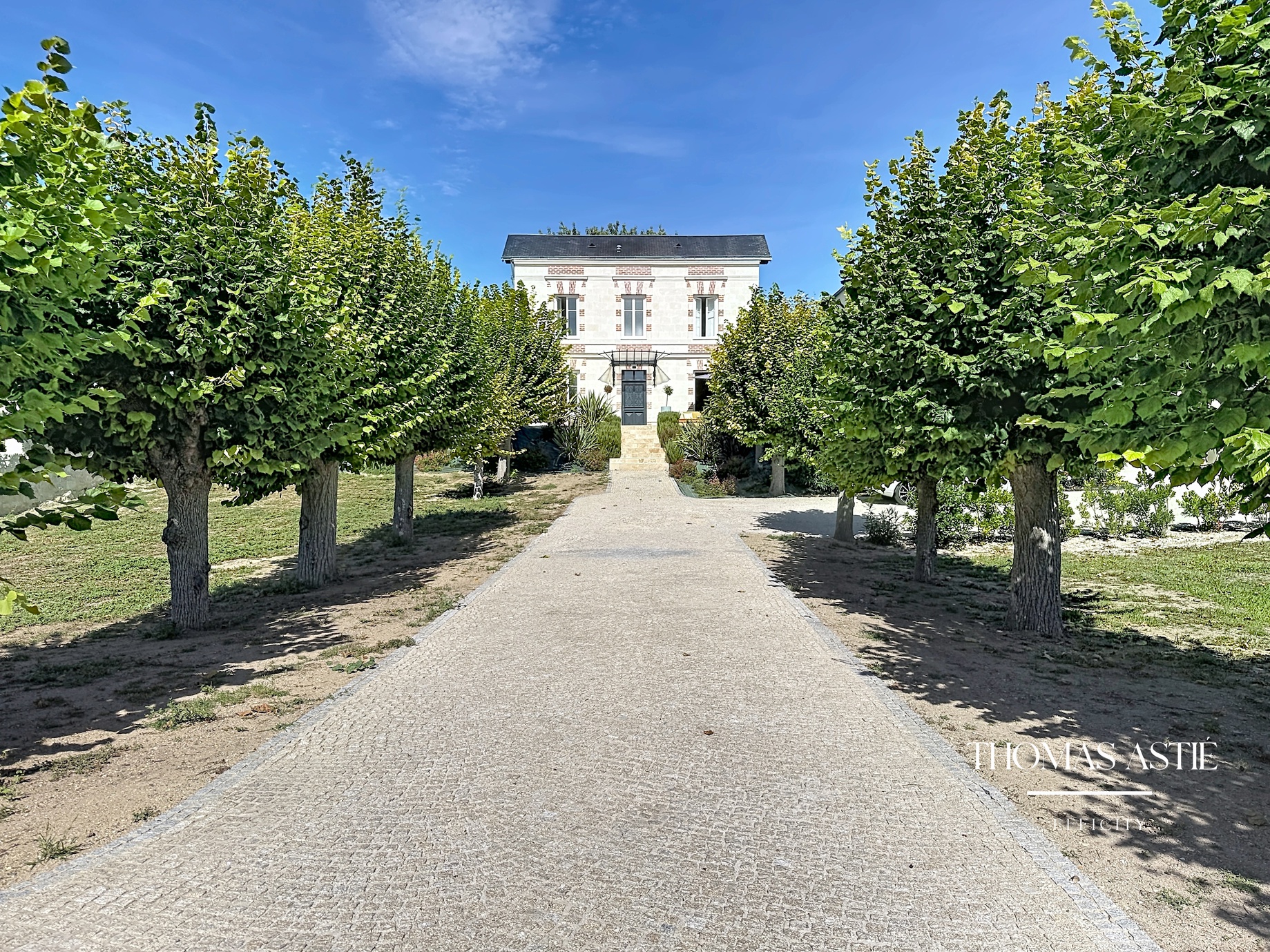 maison 9 pièces - 235m2 à Souzay-Champigny (49400)