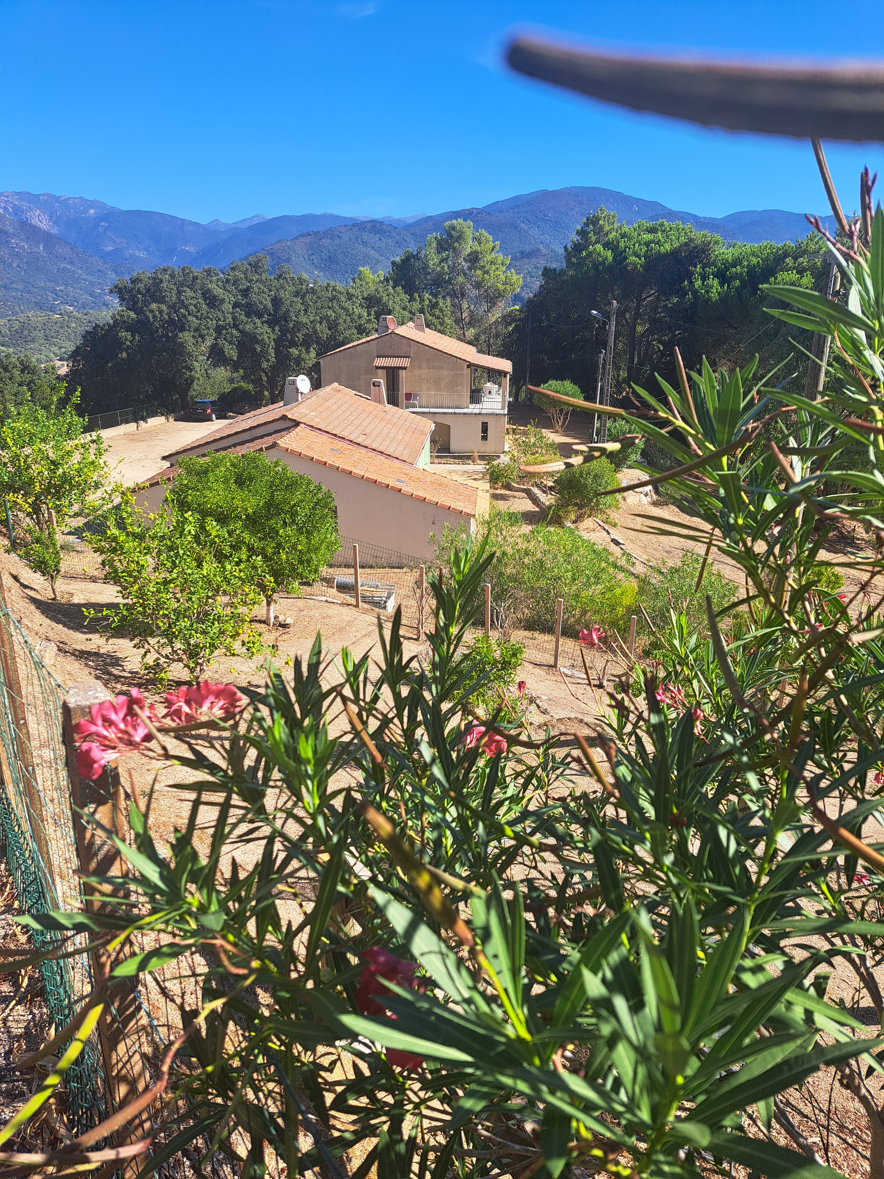 Maison 4 pièces 75 m² · à Sainte-Lucie-de-Tallano · 75 m² · 249 000 €