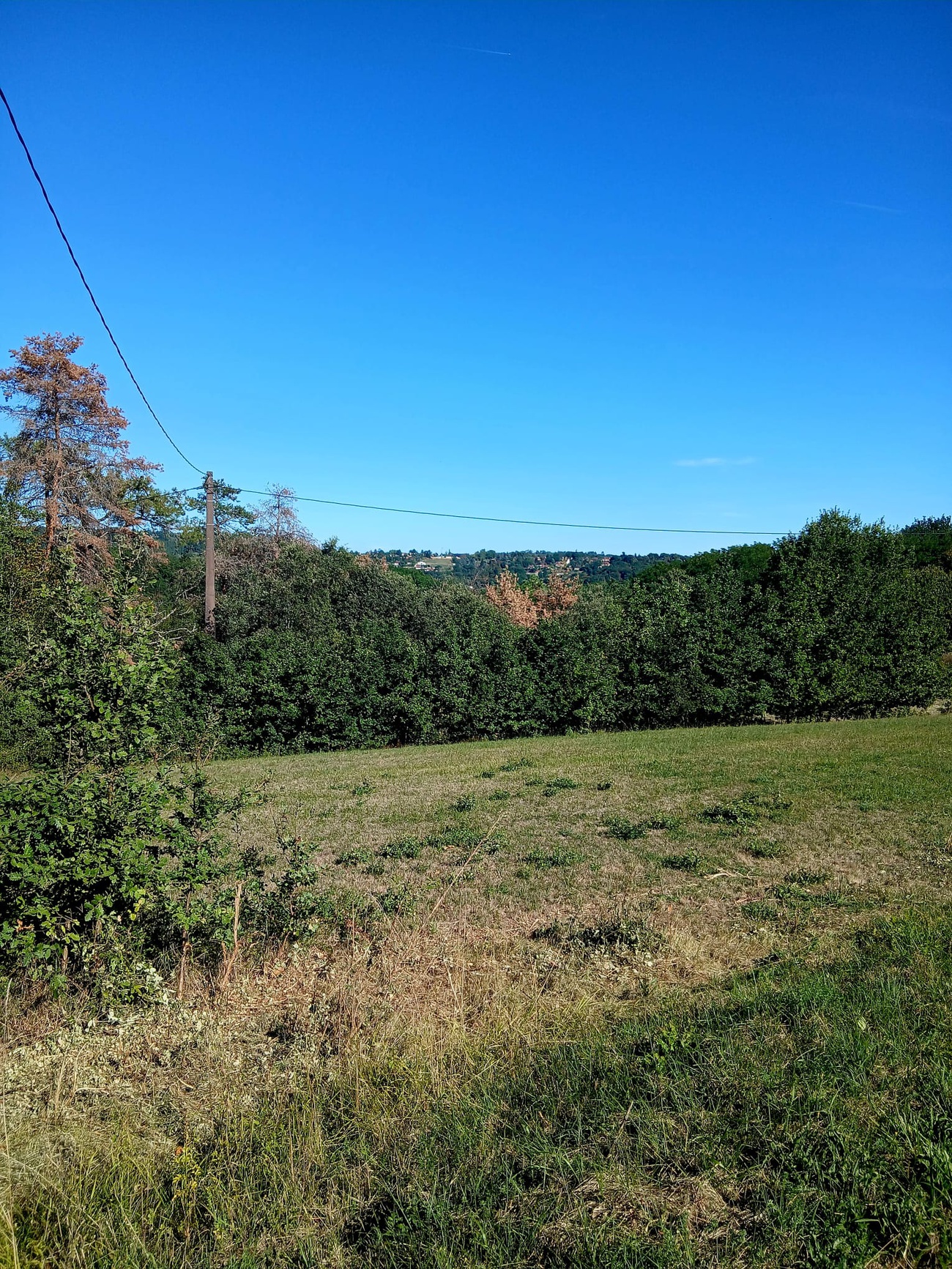Terrain - Sarlat-la-Canéda