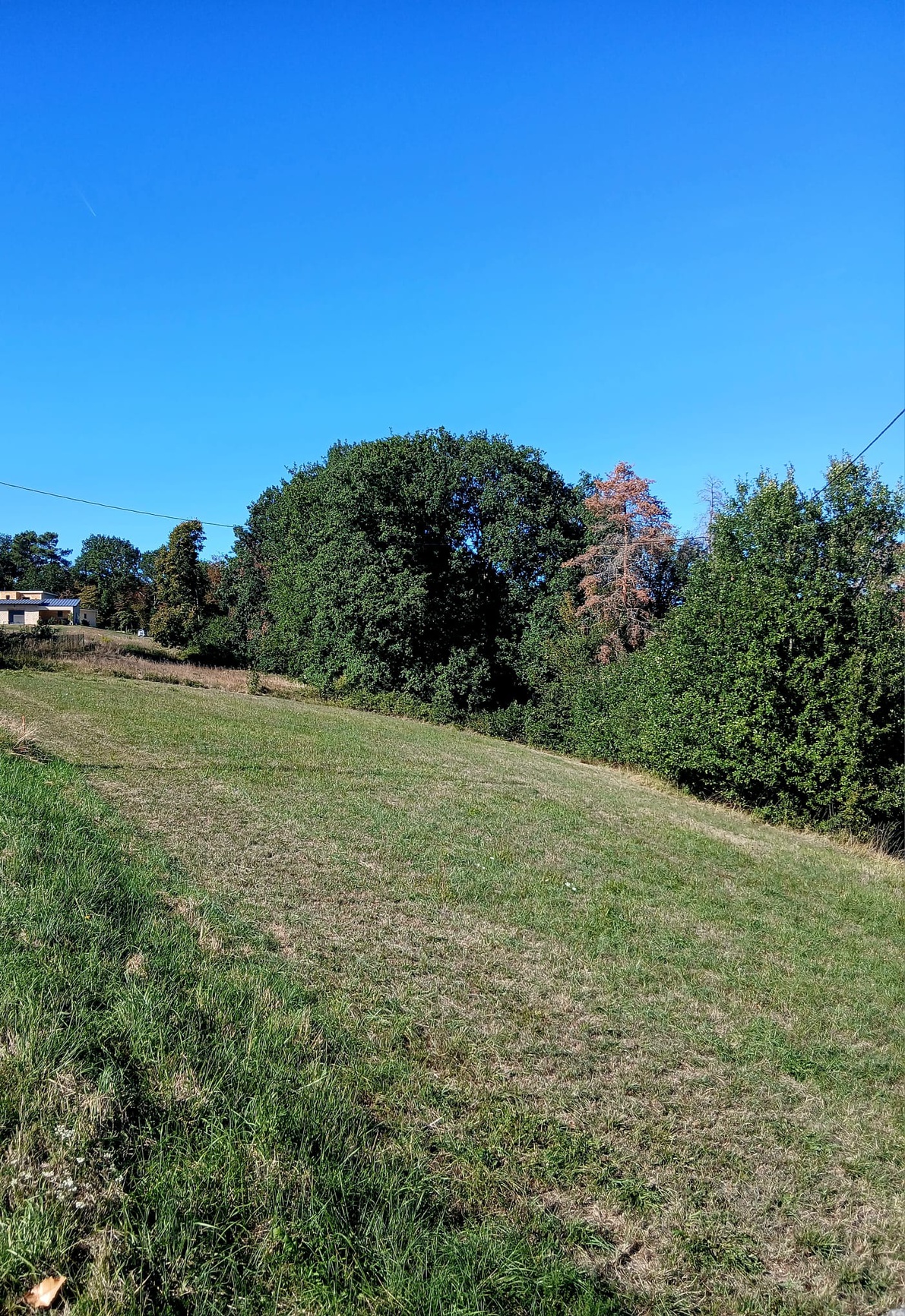 Terrain - Sarlat-la-Canéda