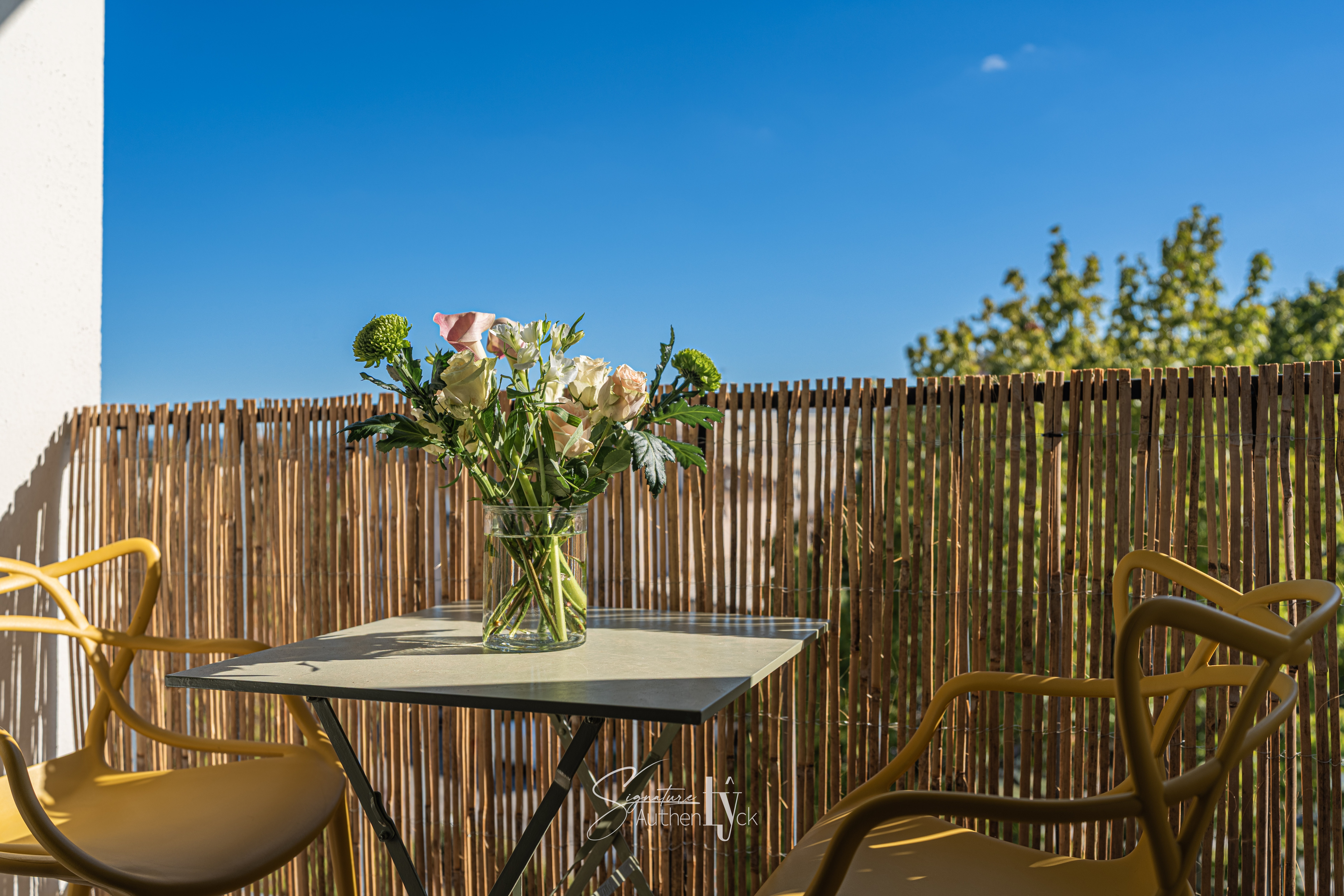 Appartement - Limoges