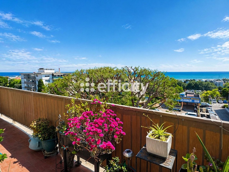 appartement 2 pièces - 53,0m2 à Saint-Laurent-du-Var (06700)