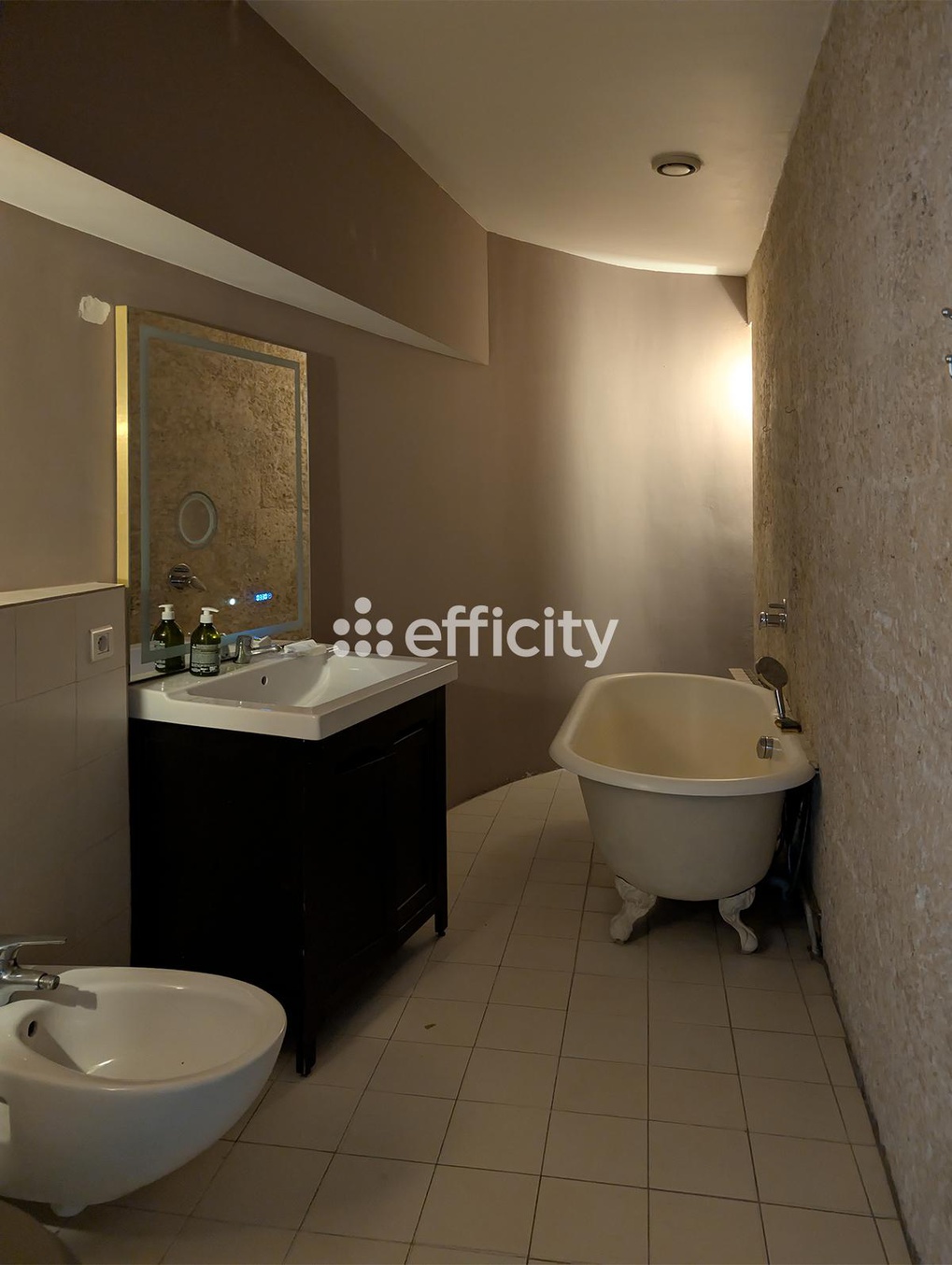 Achat immobilier Appartement 5 pièces  188m2 à Montpellier (34000) - Photo n°5