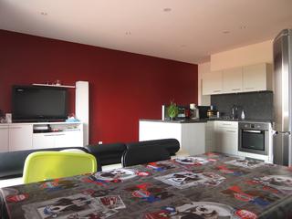 appartement 3 pièces - 52m2 à GRIGNY (69520)