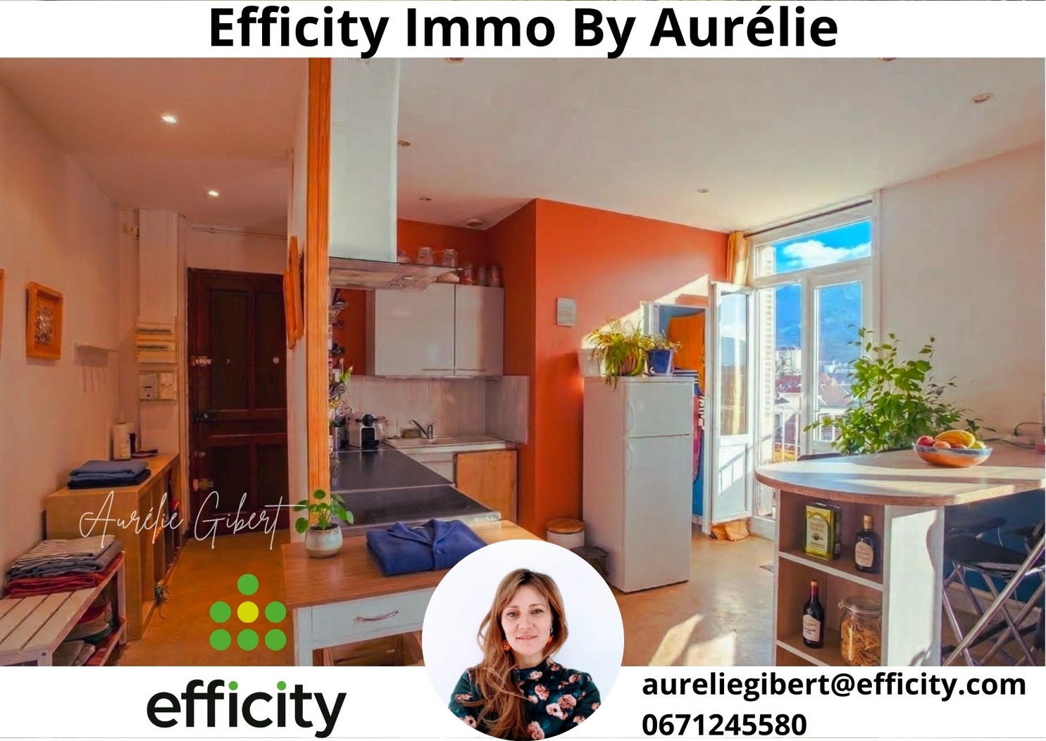 Achat immobilier Appartement 2 pièces  52m2 à Grenoble (38100) - Photo n°6
