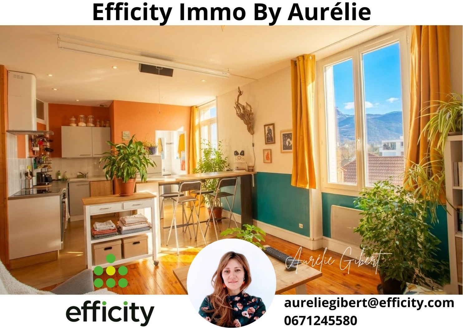 Achat immobilier Appartement 2 pièces  52m2 à Grenoble (38100) - Photo n°5