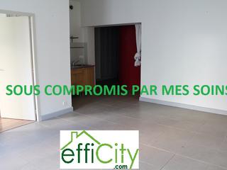 appartement 2 pièces - 45m2 à Vichy (03200)