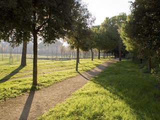 appartement 3 pièces - 73m2 à Montpellier (34000)