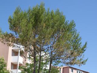 appartement 2 pièces - 46m2 à Montpellier (34080)