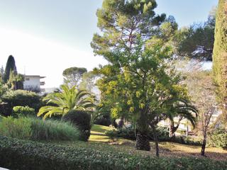 appartement 1 pièces - 28m2 à Cannet (06110)