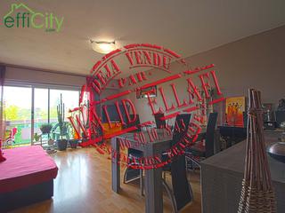 appartement 3 pièces - 66m2 à Rosny-sous-Bois (93110)